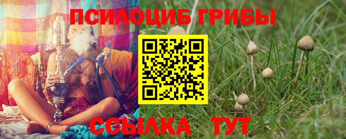 Галлюциногенные грибы ЛСД  Псилоцибиновые грибы MAGIC MUSHROOMS  Дятьково  Вход с VPN 